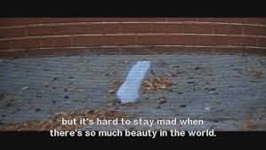 a paper bag blows around a yard in American Beauty