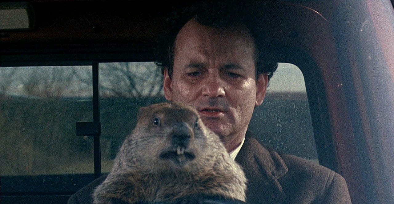 Bill Murray and his pal, Punxatany Phil, Groundhog Day