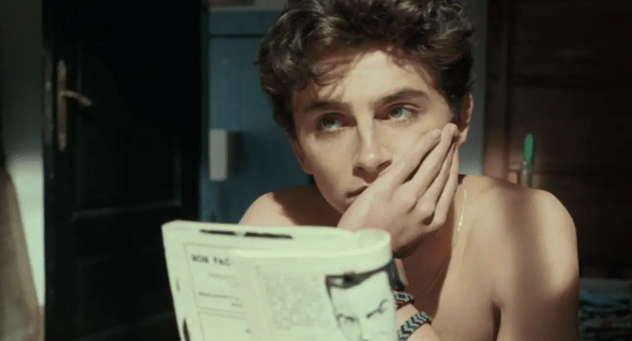 Timothee Chalamet from Call Me by Your Name