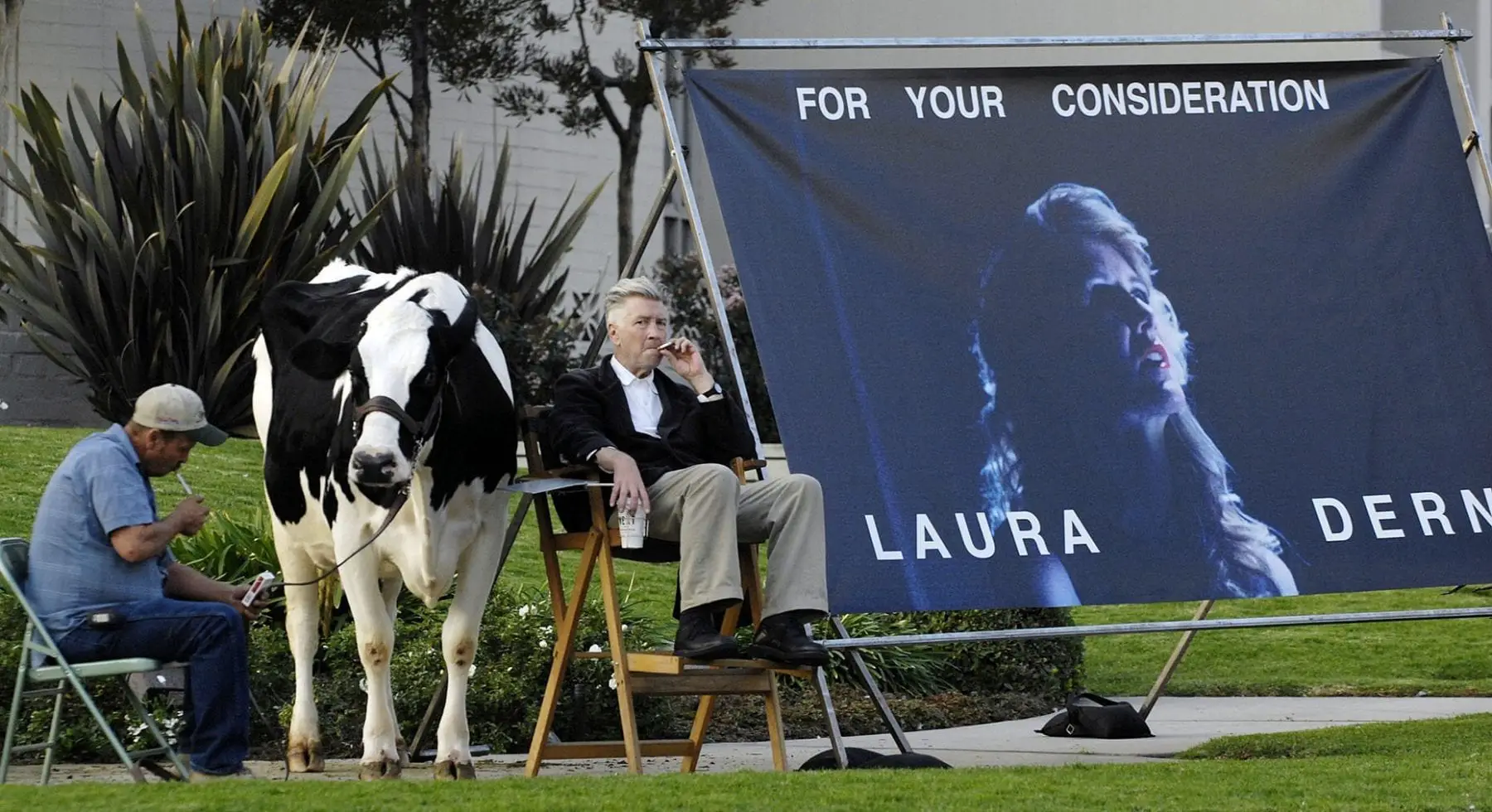 David Lycnh campaigns for Laura Dern with a cow