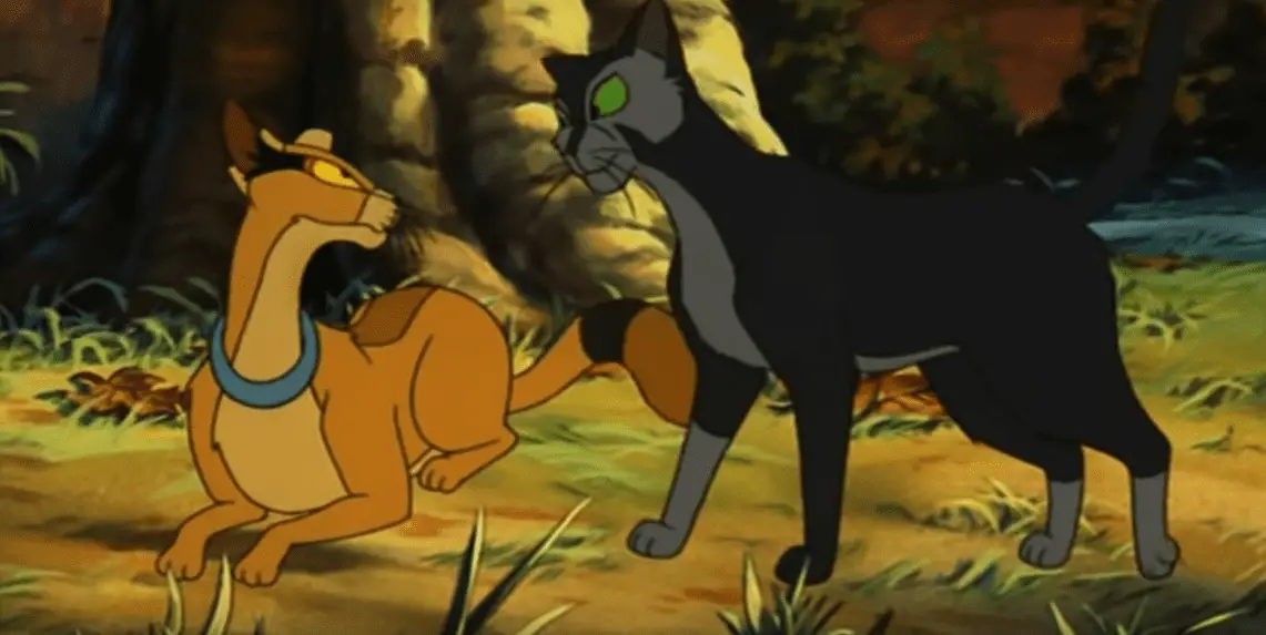 Francis is distracted by an exotic beauty for an afternoon affair in Felidae.