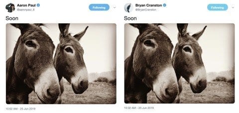 Bryan Cranston and Jesse Pinkman tweet ‘Soon’ and an image of two mules