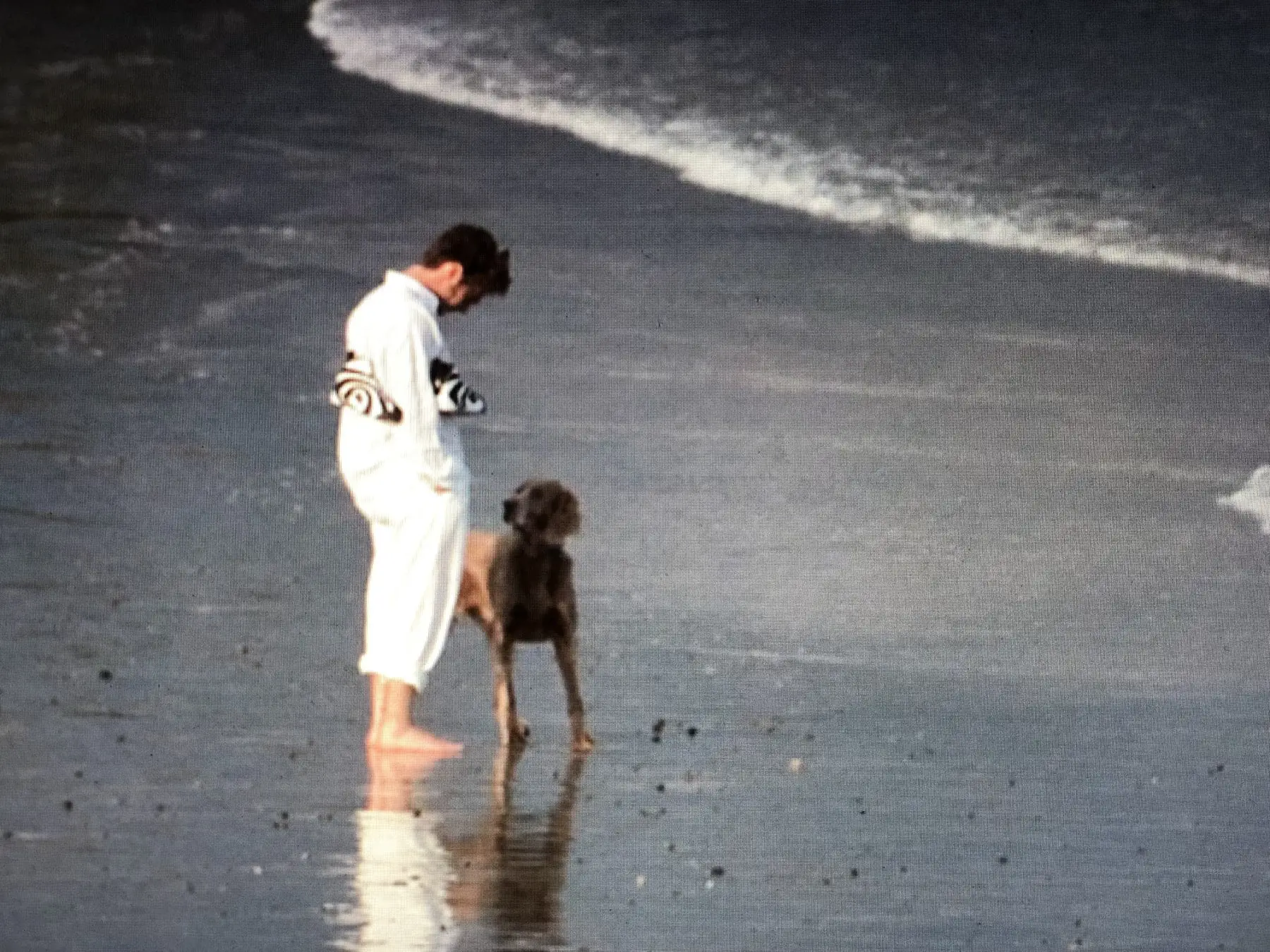 Ronnie Bostock and his dog walk on the beach