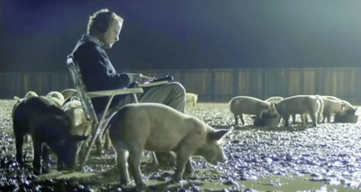 A mysterious pig farmer listens to the sounds he samples from the world in Upstream Color.