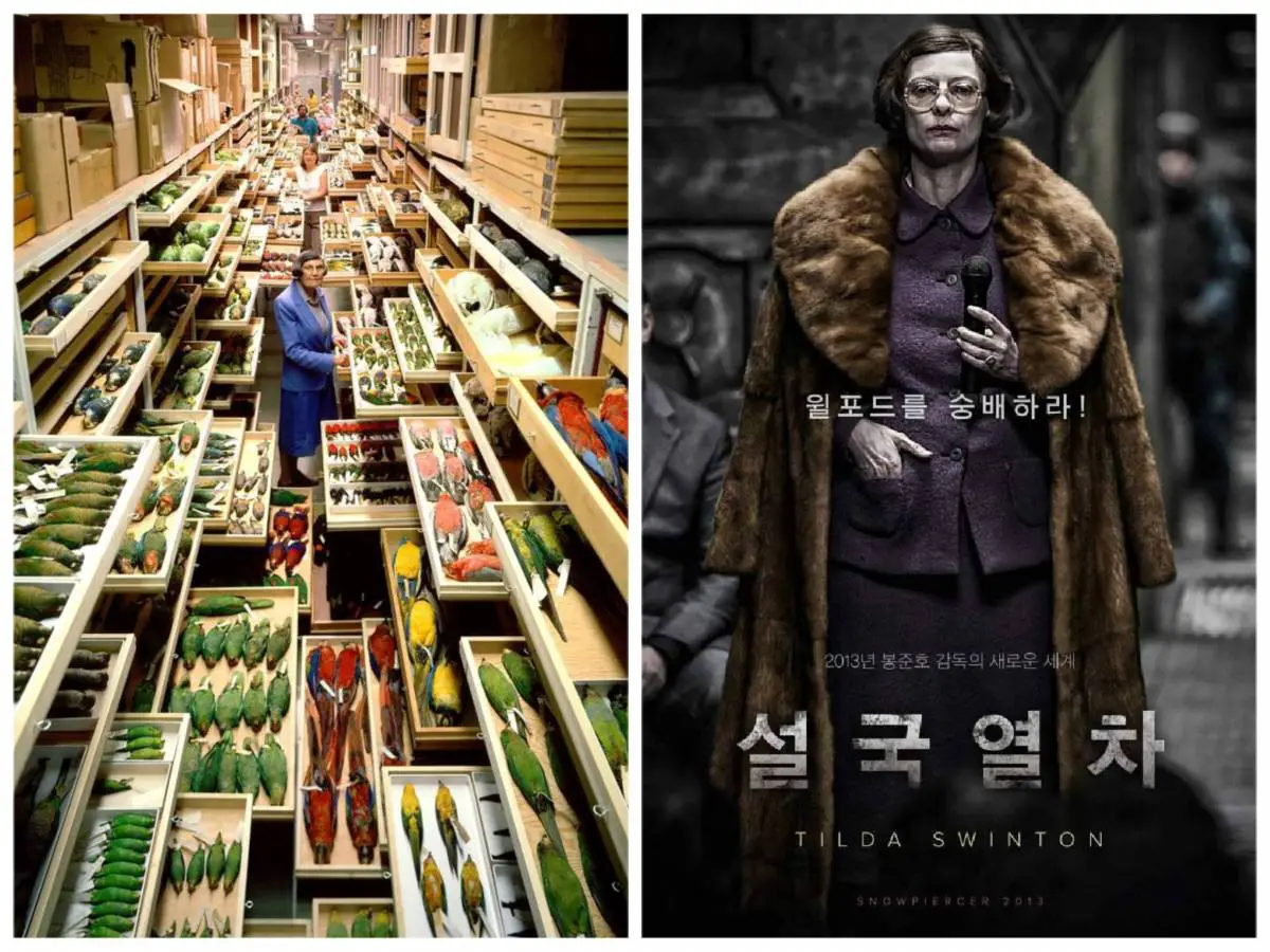 Double Image. 1-The photograph of feather specialist Roxie Laybourne surrounded by dead birds that inspired Mason's look 2-Promotional Korean poster with Mason about to give her speech 