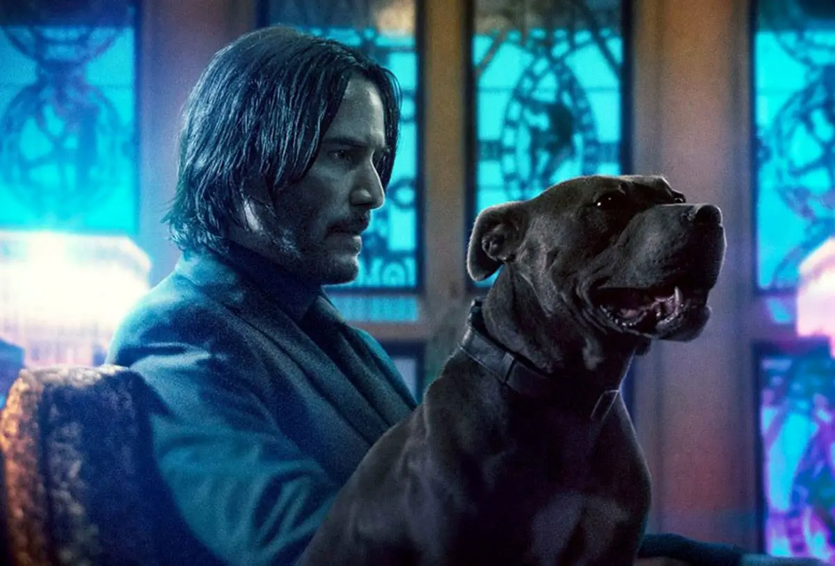 John Wick with his new dog in John Wick Chapter 3.