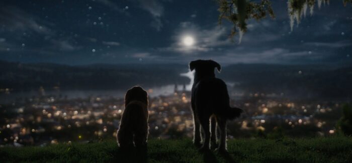 Lady and the Tramp gaze above the city at night