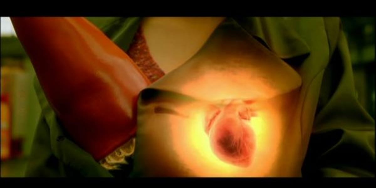 Amelie's Heart, with green coat and chest in background