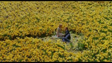 The field of daffodils Edward planted for Sandra in Big Fish