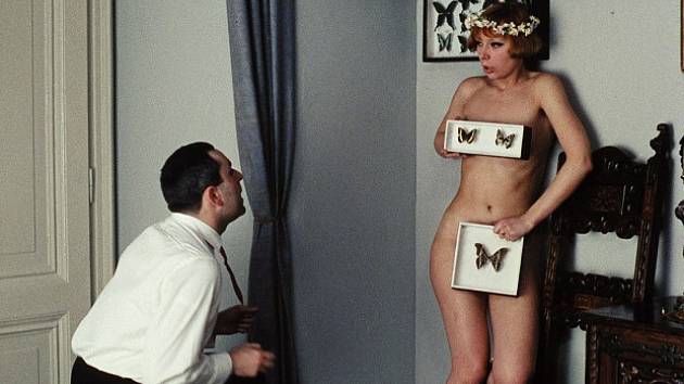 A man on one knee professes his love to Marie II, who stands naked covering her intimate parts with framed butterflies
