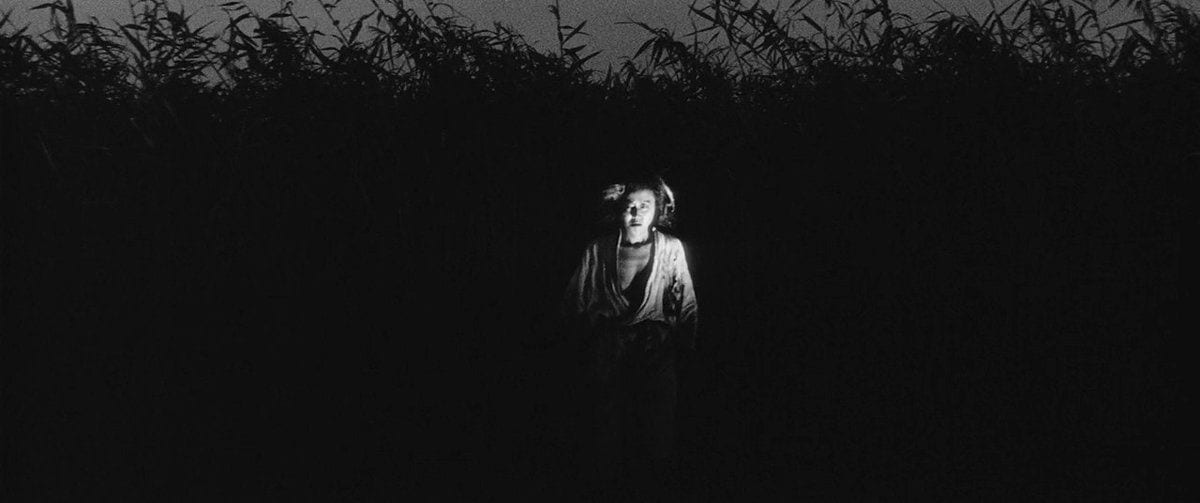 The mother hides in the shadows of the grass at night, looking toward the screen.