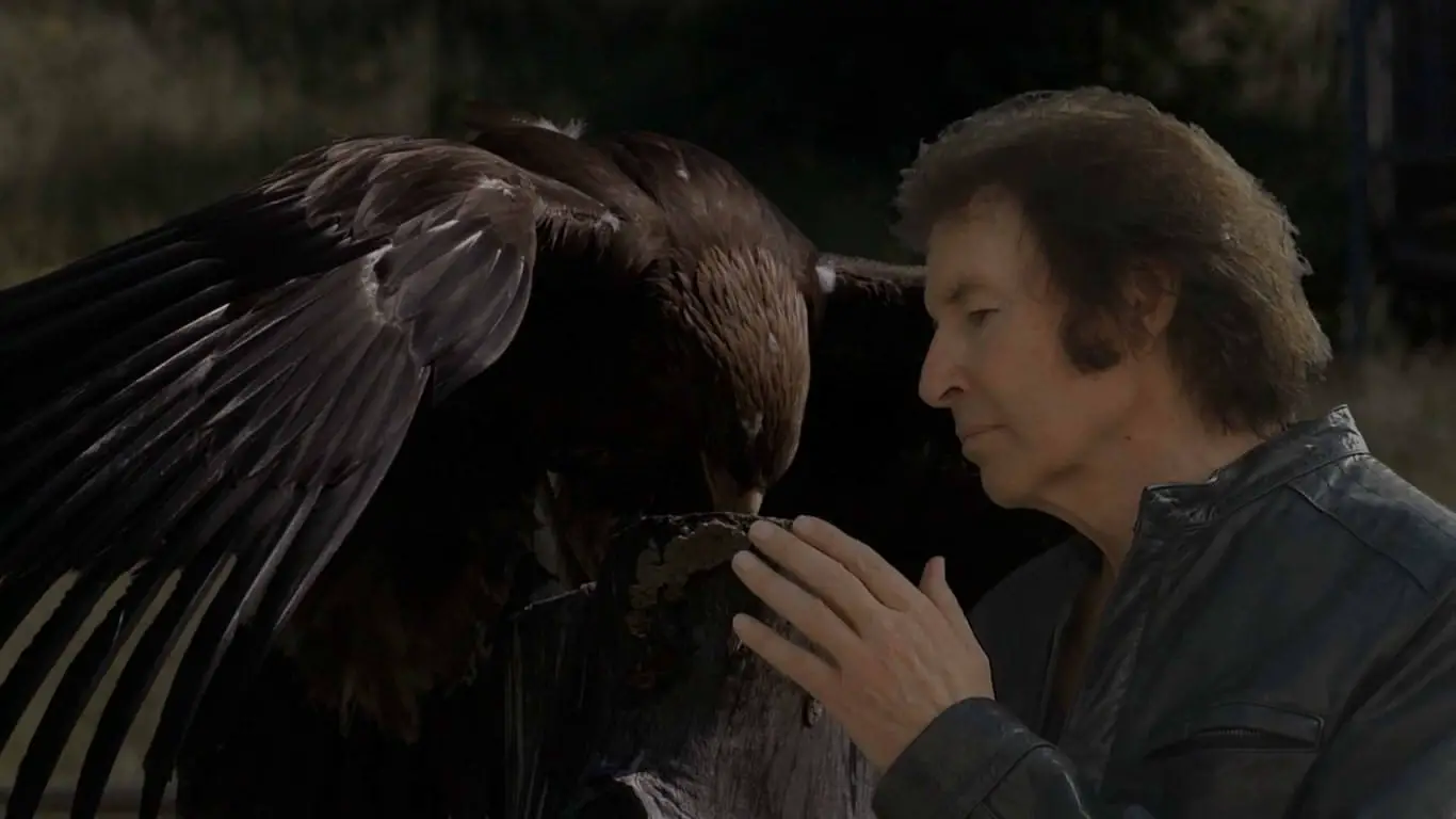 Shot from Twisted Pair. Breen, clad in a leather jacket, strokes the keyed-in stock image of an eagle.