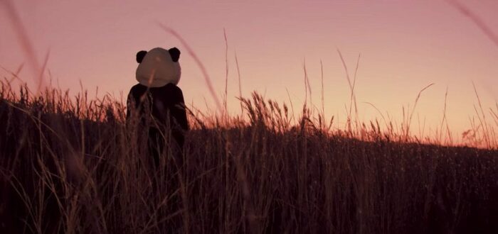 a person in a panda costume walks through a wheat field into the sunset