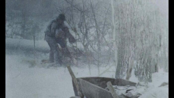 During a blizzard, the character Karl Oscar shelters his son Johan from a blizzard by placing him inside a slain ox carcass.