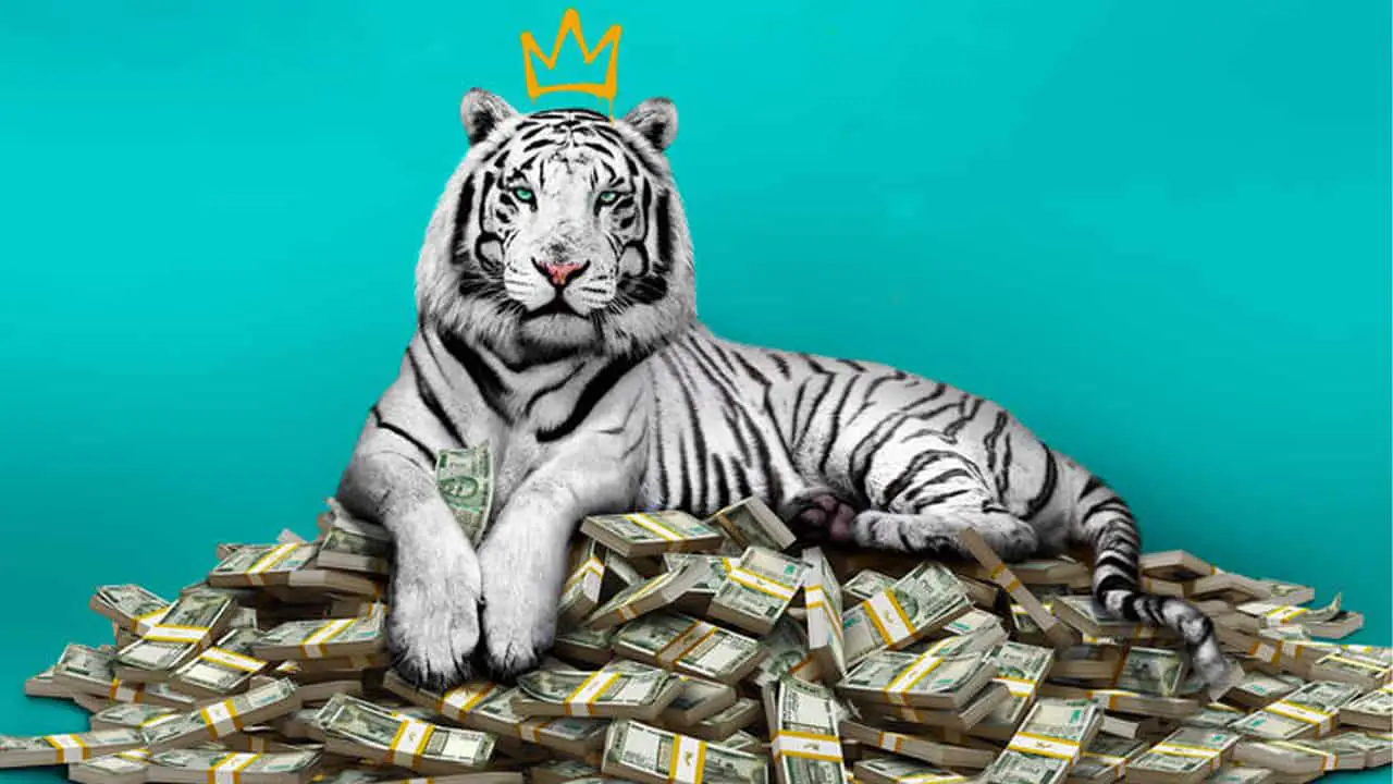 A promotional photoshopped image of a white tiger on a pile of cash