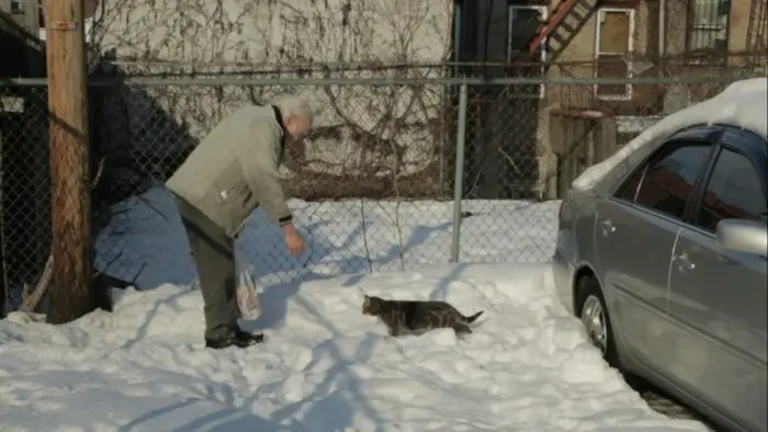Screenshot from Alvaro. And elderly man attempts to pet a cat in the snow.