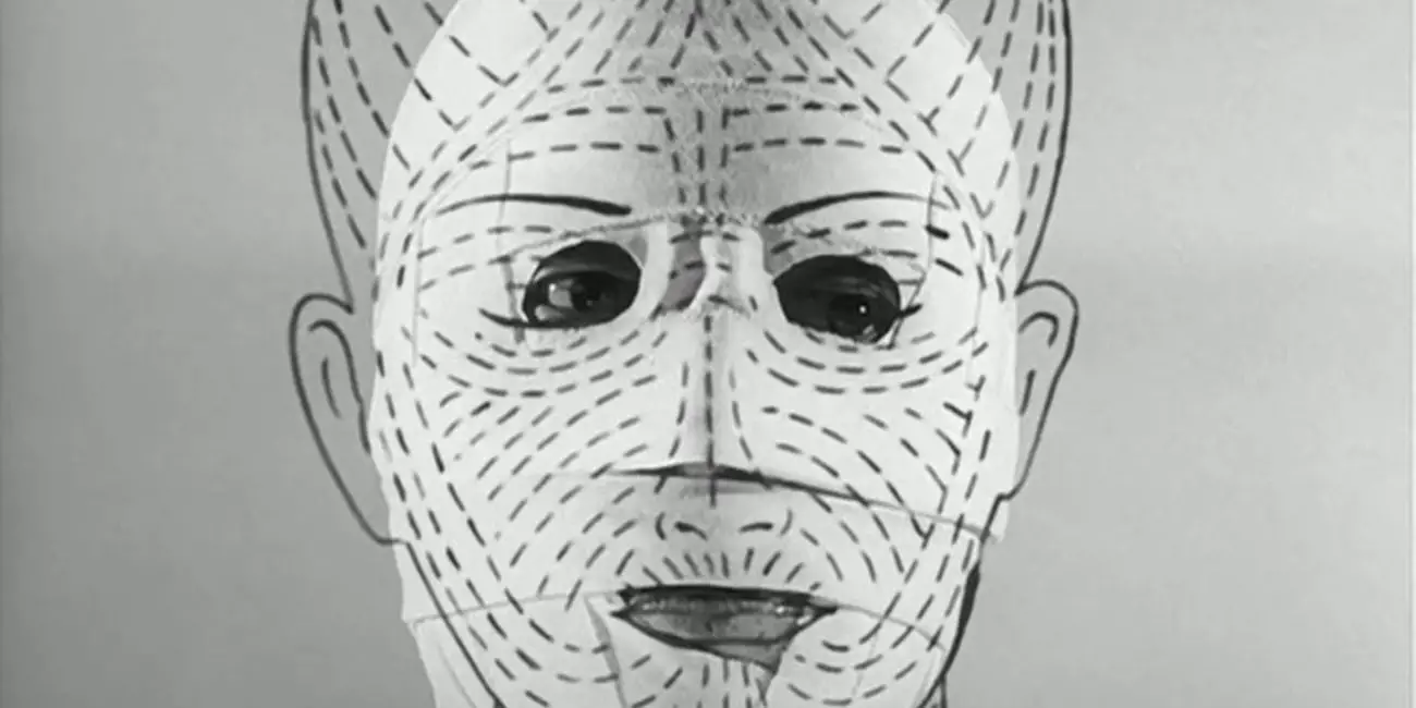 Image from The Face of Another: A close up of a bandaged face with Langer lines superimposed