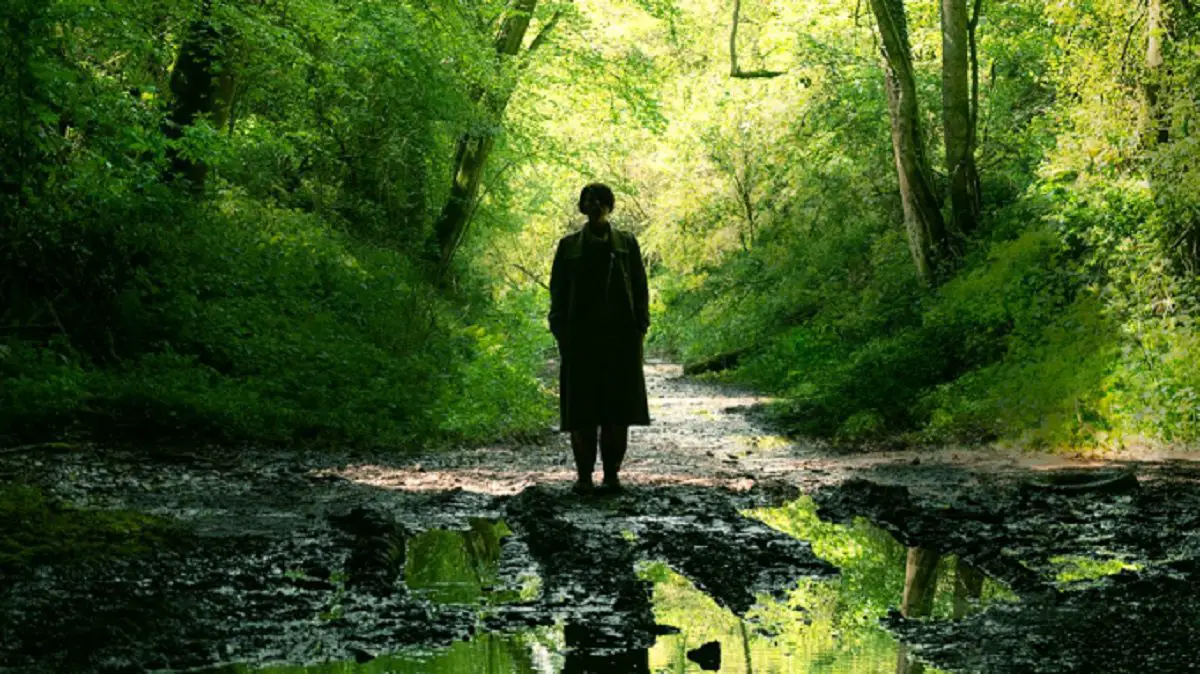A shadowed figure stands next to a creek.