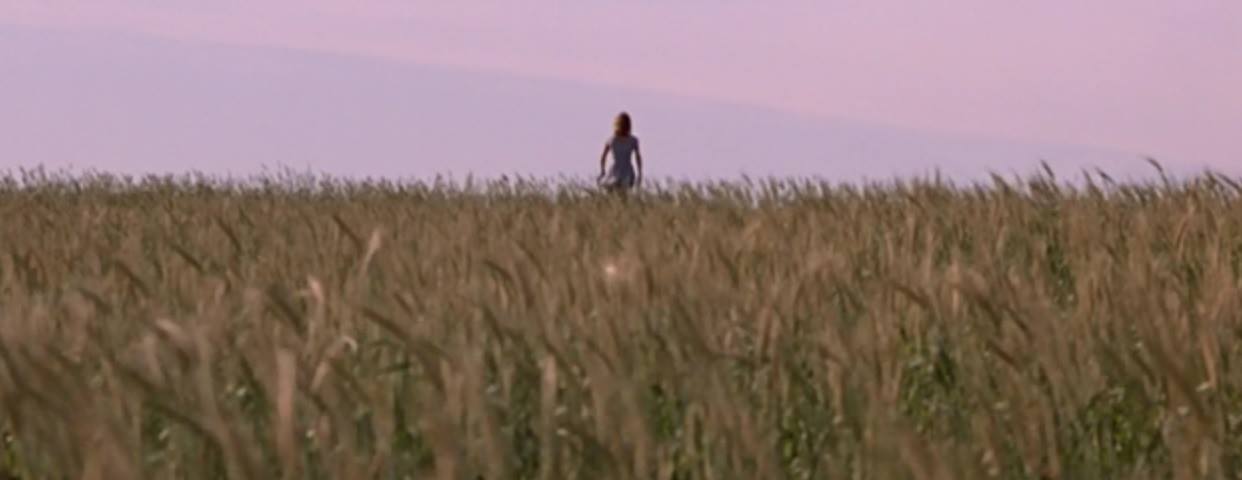 Kay walking into a wheat field