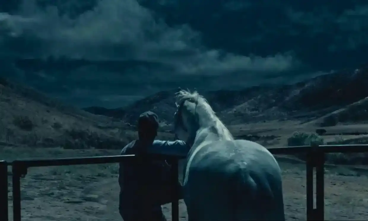 A man and a white horse stare at a storm cloud formation