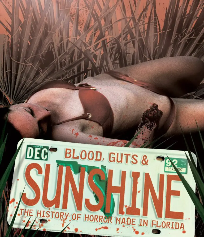 The case artwork for Blood, Guts and Sunshine
