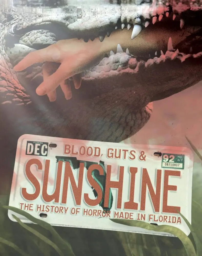 The slipcover artwork for Blood, Guts and Sunshine.