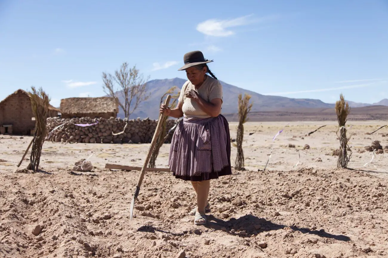 Sisa (Luisa Quispe) walks along the arid countryside in "Utama."