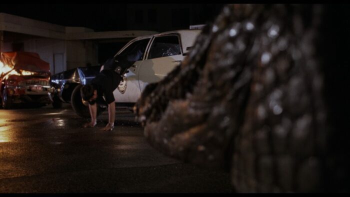 Shot behind the alligator as it approaches a cop exiting out of a police car through the driver's side window.