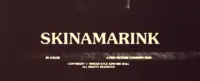 the title card for Skinamarink