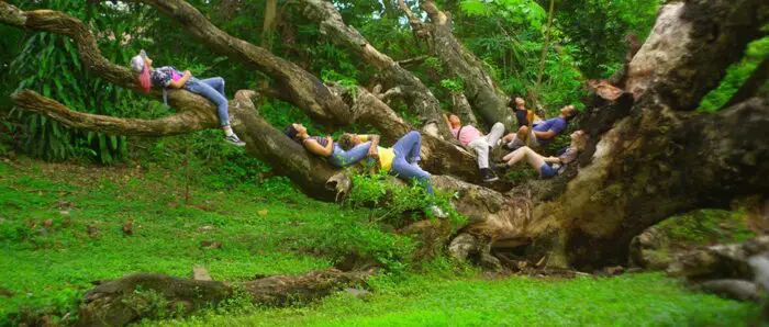 A group of teens hang out on the limbs of a tree.
