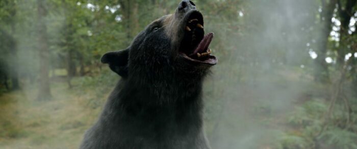 A black bear growls and inhales in Cocaine Bear