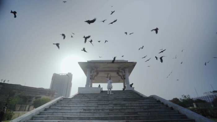 Kites swarm and fly above a New Delhi temple at feeding time in the documentary "All That Breathes."