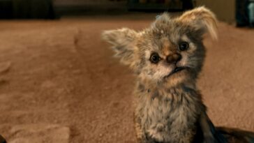 The powerfully adorable Chupa, a fuzzy reimagining of the chupacabra in the Netflix original Chupa. A cute combination of cat and dog with large floppy ears and scruffy fur.