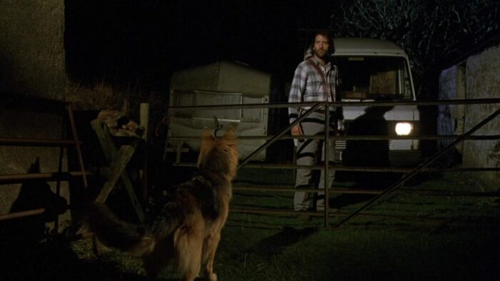 Will stands outside of a gate looking at a dog.