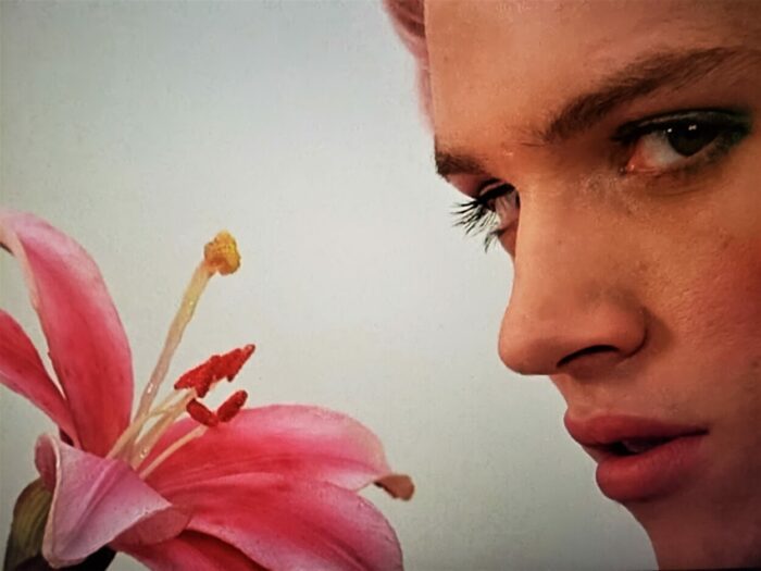 Jonathan Rhys Meyers as Brian Slade posing with a flower his singing has aroused to blossom in Velvet Goldmine (1998)