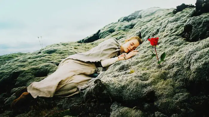 A woman sleeps on a rocky area near a red rose.