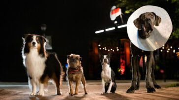 Maggie (Isla Fisher), Reggie (Will Ferrell), Bug (Jamie Foxx), and Hunter (Randall Park) are different breeds of dogs standing on a street at night.
