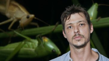 Daniel McCabe in front of an image of grasshoppers from his film Grasshopper Nation.