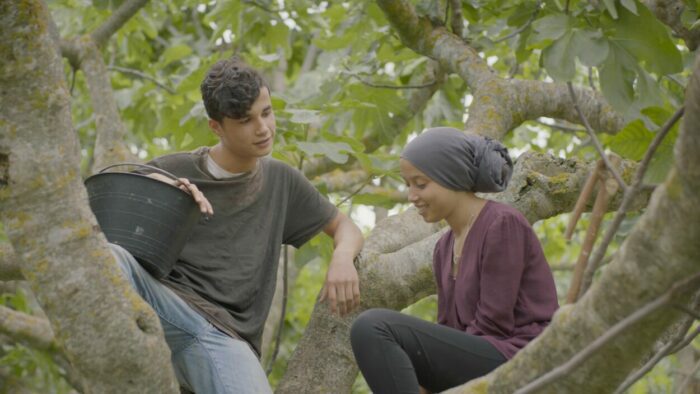A young boy and girl converse under a fig tree.