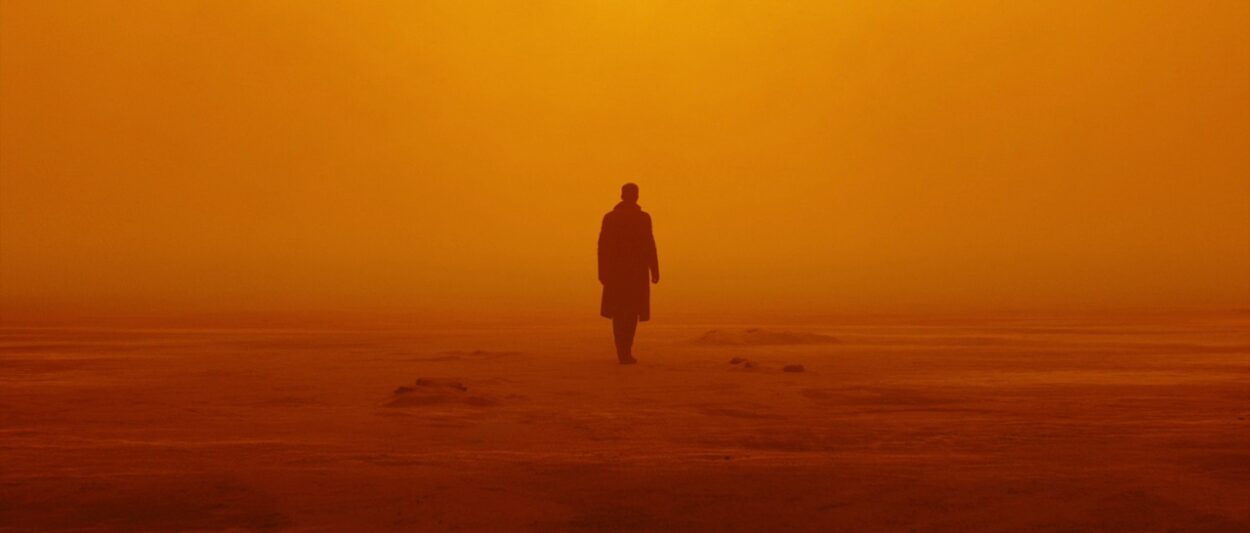 Ryan Gosling in Blade Runner 2049 (Warner Bros.)
