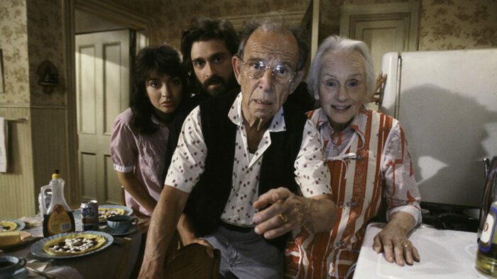 Frank, Faye, Marisa, and Mason stand in a kitchen and look straight ahead.