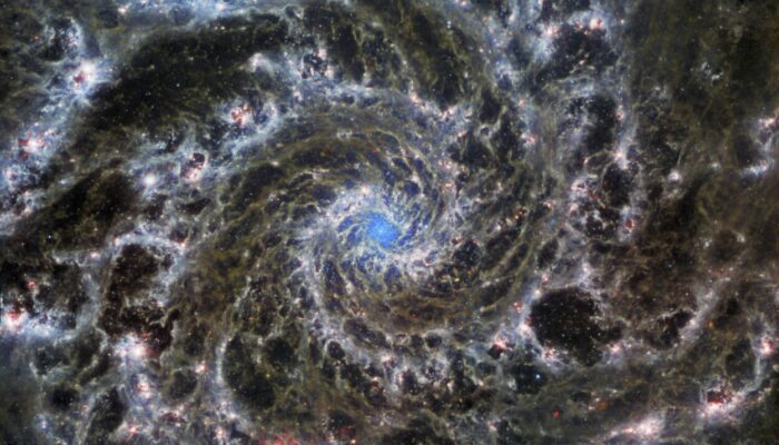 Tthe heart of M74, the Phantom Galaxy, shows a particular class of spiral galaxy.