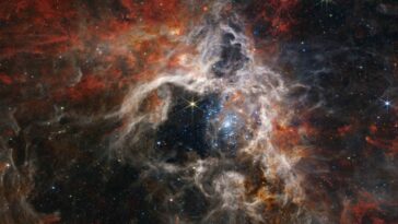 The Tarantula Nebula star-forming region in a new light, including tens of thousands of never-before-seen young stars in Deep Sky