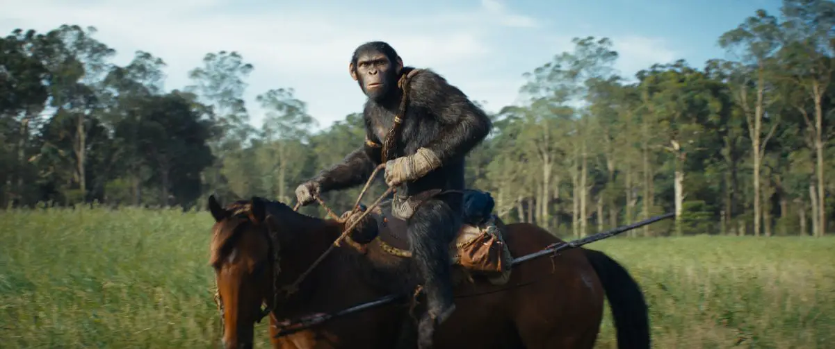 A chimpanzee rides a horse in a meadow in Kingdom of the Planet of the Apes