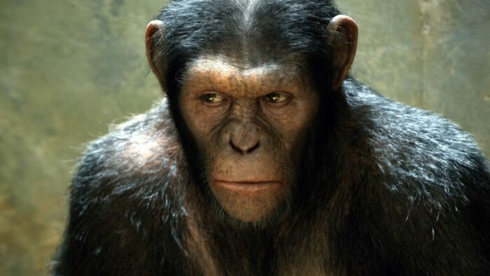 Andy Serkis as Caesar in Rise of the Planet of the Apes.