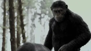 Caesar rides a horse in the forest in War For The Planet of the Apes