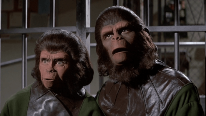 Cornelius and Zira look agape in the third Planet of the Apes film