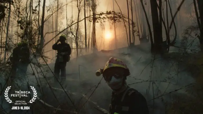 Firefighters traipse through a burnt forest.