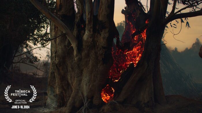 A tree in the forest burns.