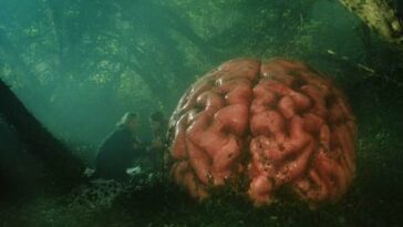 A brain appears in a misty forest in Rumours.